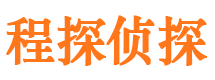 新余市调查公司